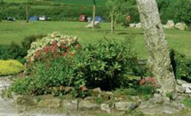 Mena Caravan & Camping