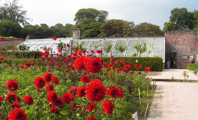 Lost Gardens of Heligan